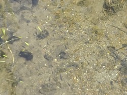 水族館03-4
