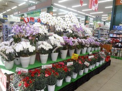OK多良見店01-1