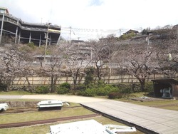 戸町03-1