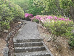 稲佐山03-2