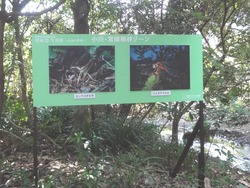 水族館02-5