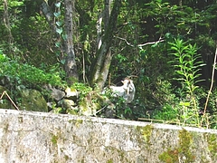 鳴滝01-4