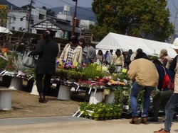 松山02-4