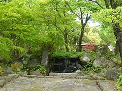 金立01-2