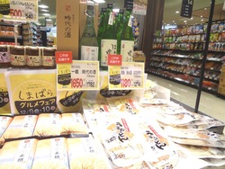 葉山SP03-3