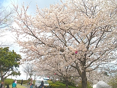 中尾城03-3