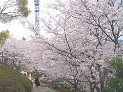 中尾城03-4