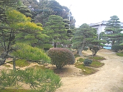 古賀05-2