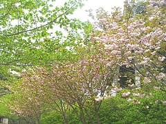 新戸町公園02-2