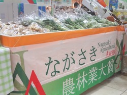 夢彩都01