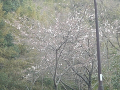 ºù03-2