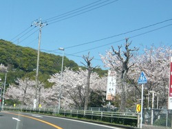 伊佐ノ浦公園01