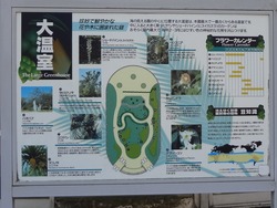亜熱帯植物園03