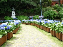 鳴滝01-1