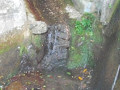 竜王院04-2