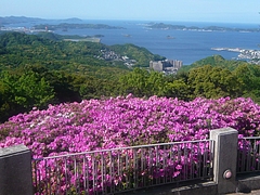 稲佐山04-2