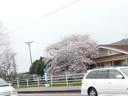 諫早01