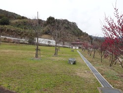 宮崎ダム03-5