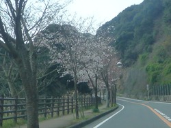 稲佐山01