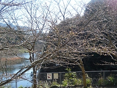 ºù01