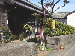 松原雛祭り04