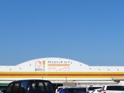 ダイレックス01