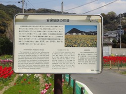 安保地区02-4