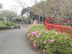 中尾城公園01-3
