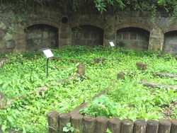 神の島公園02-6