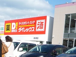 ダイレックス01