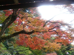 心田菴03-4