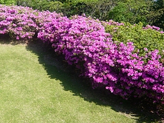 稲佐山04-1