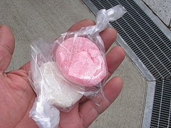 福田くんち06-2