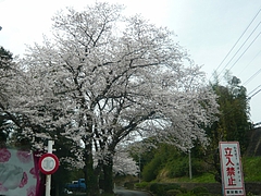 大村01-2