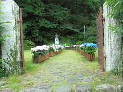 鳴滝01-4