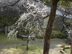 丸山02-3