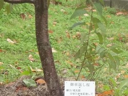淵町03-4