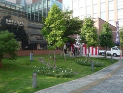 興善町01
