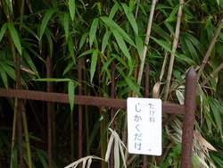 鳴滝01-4