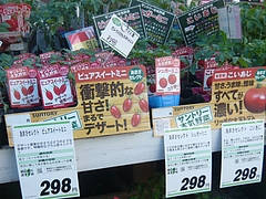 コメリ02-1