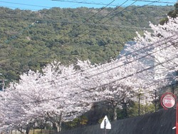 小江原01