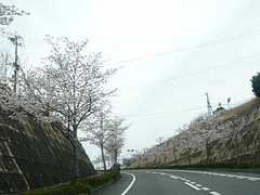 大村01-4