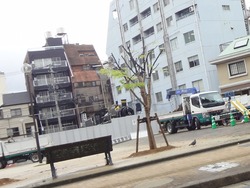 賑町01-3