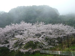 芒塚01