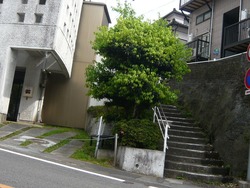 小島03
