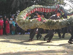 角上蛇踊01-2