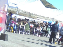 茂木ふれあい祭01-2