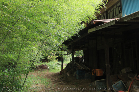 blog-7794