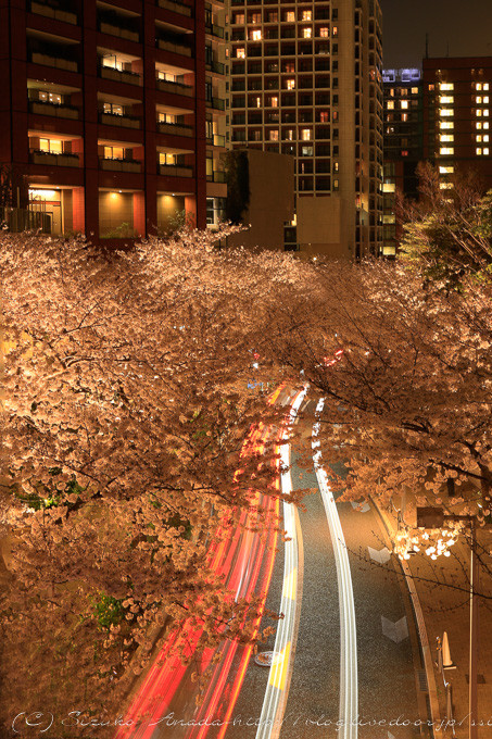 blog--7