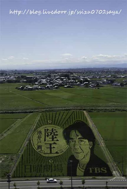 ブログ用田んぼアート_MG_8525-Edit